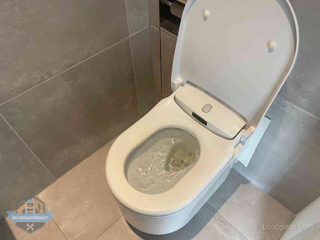 Wc Verstopt In Delft Wc Verstopt In Delft
